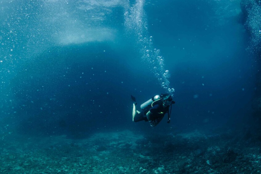 Picture 8 for Activity "Submerge into Adventure: Scuba Diving in Marietas Island