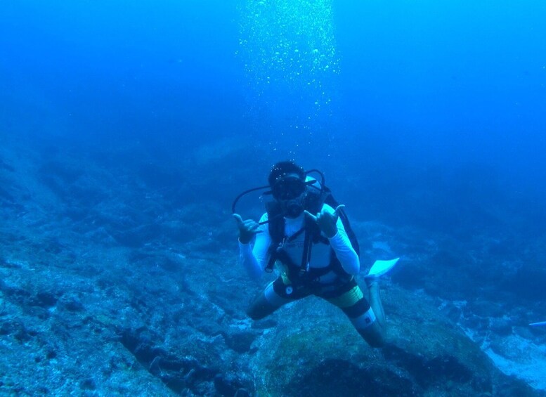 Picture 9 for Activity "Submerge into Adventure: Scuba Diving in Marietas Island