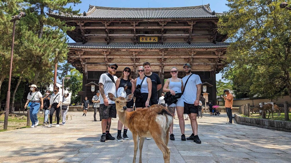 Picture 1 for Activity E-Bike Nara Highlights - Todaiji, Knives, Deer, Shrine