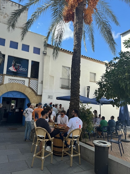 Picture 6 for Activity Cordoba: Flamenco Show at Tablao El Jaleo & Optional Dinner