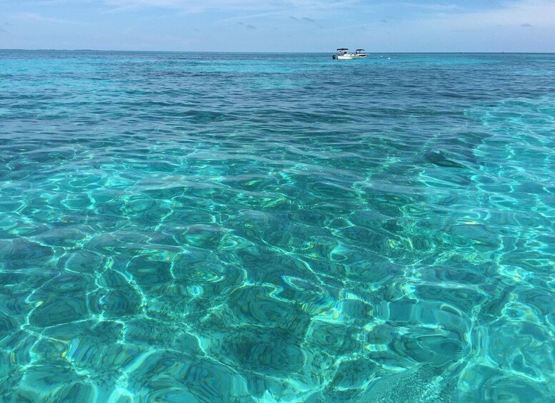 Picture 2 for Activity Boat tour from Avola to Portopalo with visit of Marzamemi