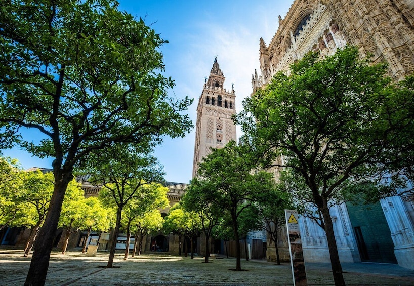 Picture 4 for Activity Seville: Small-Group Cathedral and Giralda Tour with Tickets