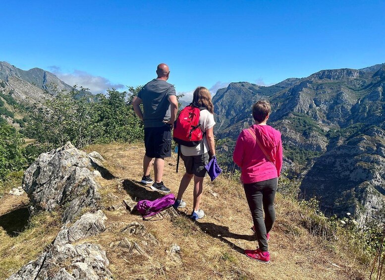 Picture 3 for Activity From Gijón or Oviedo: Ponga Natural Park Day Trip