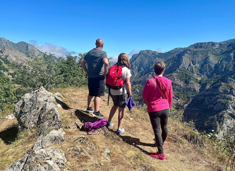 Picture 3 for Activity From Gijón or Oviedo: Ponga Natural Park Day Trip