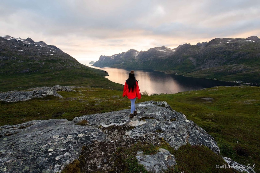From Tromsø: Kvaløya Fjord Hike with Snack and Photos