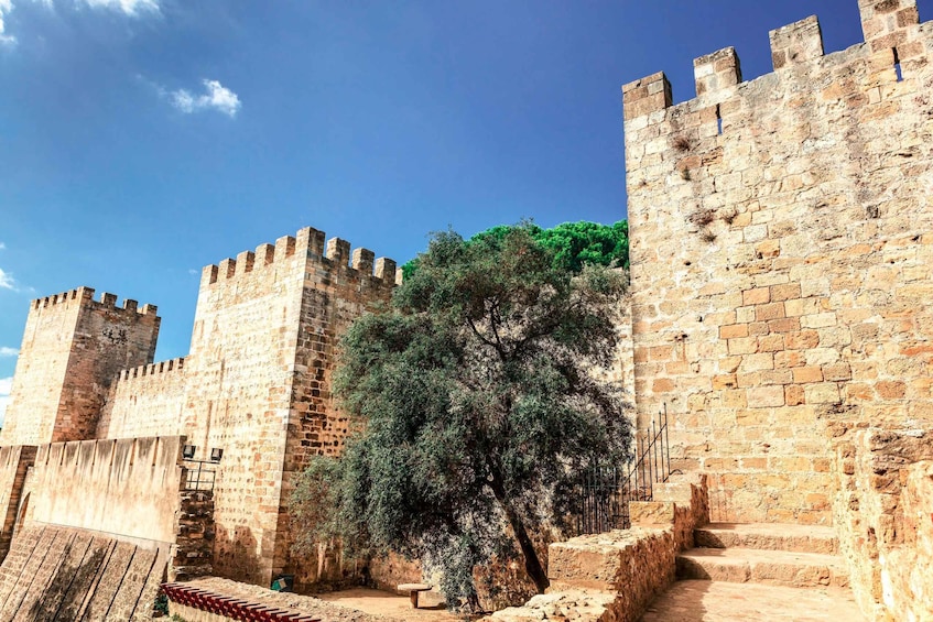 Picture 5 for Activity Lisbon: Sao Jorge Castle Skip-the-Line Ticket with Guide