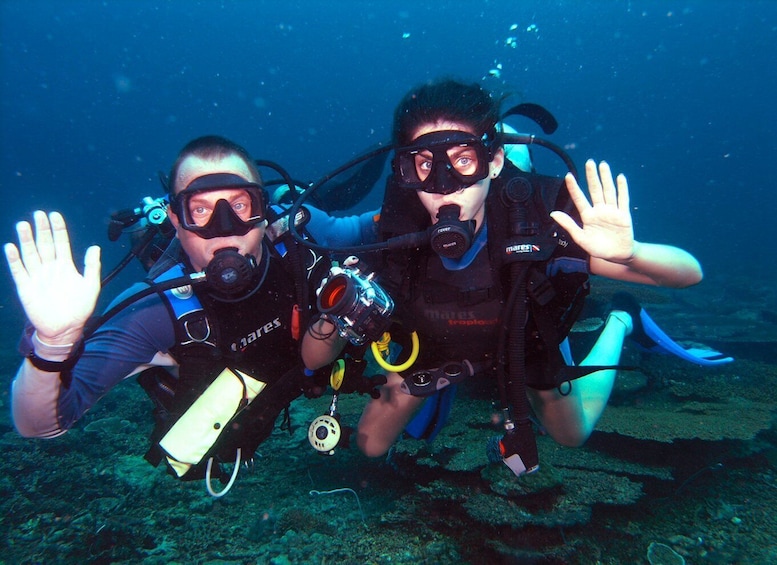 Picture 3 for Activity Borneo Full Day Try Dive (2 Dives) for Beginners