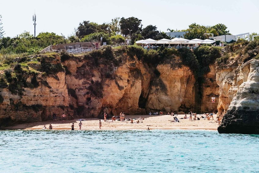 Picture 6 for Activity Lagos: Ponta da Piedade Boat Tour with Local Guide