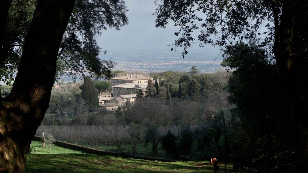 Picture 9 for Activity Near Rome: Irish / Goethe Hike in Frascati to Monte Tuscolo
