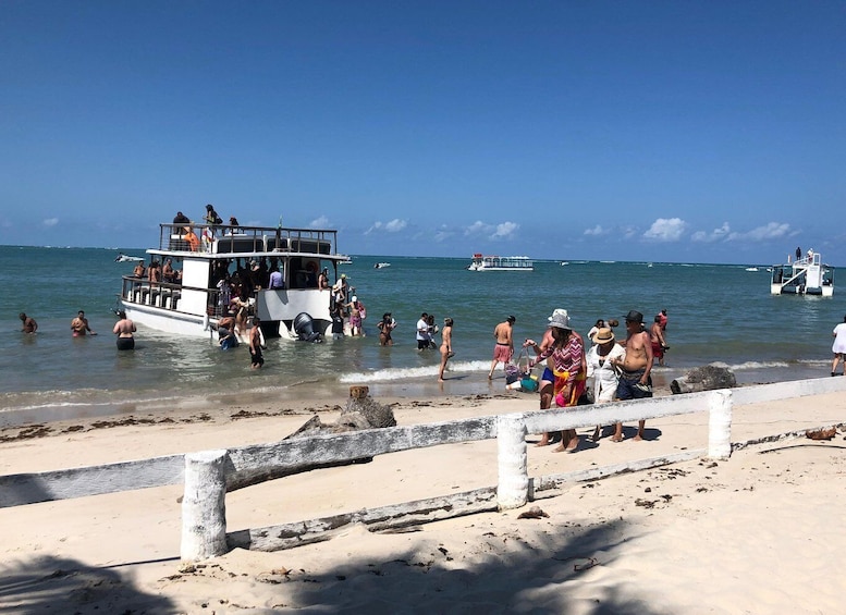 Picture 2 for Activity Catamaran tour in Praia dos Carneiros