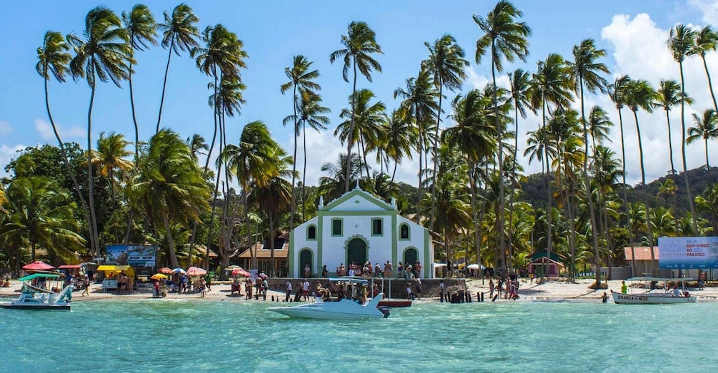 Catamaran tour in Praia dos Carneiros