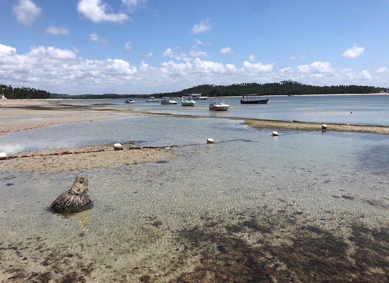 Picture 1 for Activity Catamaran tour in Praia dos Carneiros