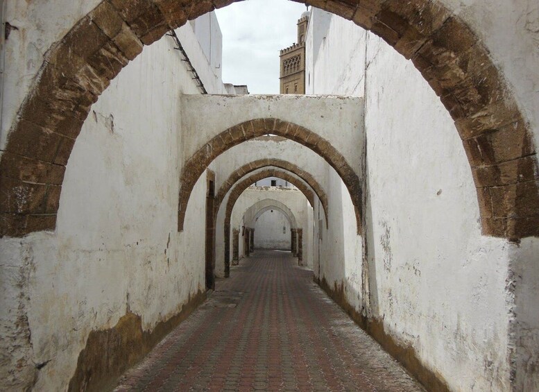 Picture 10 for Activity Casablanca: Guided Sightseeing Tour with Hassan II Mosque