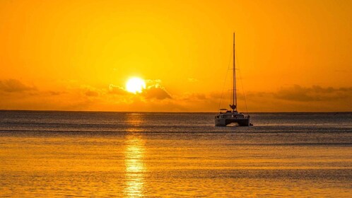 Porto Conte: Katamaranausflug bei Sonnenuntergang mit Aperitif