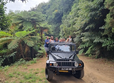 Madeira : Santana, Pico Arieiro, walk full day 4x4 Jeep tour