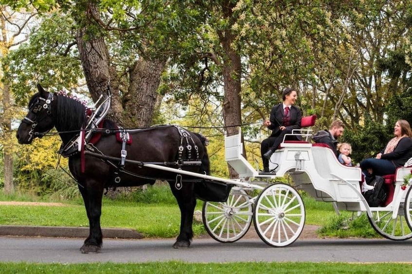 Picture 6 for Activity NYC: Private Central Park Horse Carriage Ride with Guide