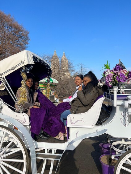 Picture 3 for Activity NYC: Private Central Park Horse Carriage Ride with Guide