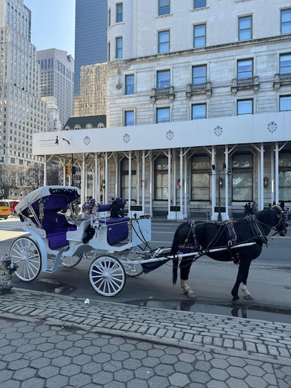 Picture 2 for Activity NYC: Private Central Park Horse Carriage Ride with Guide