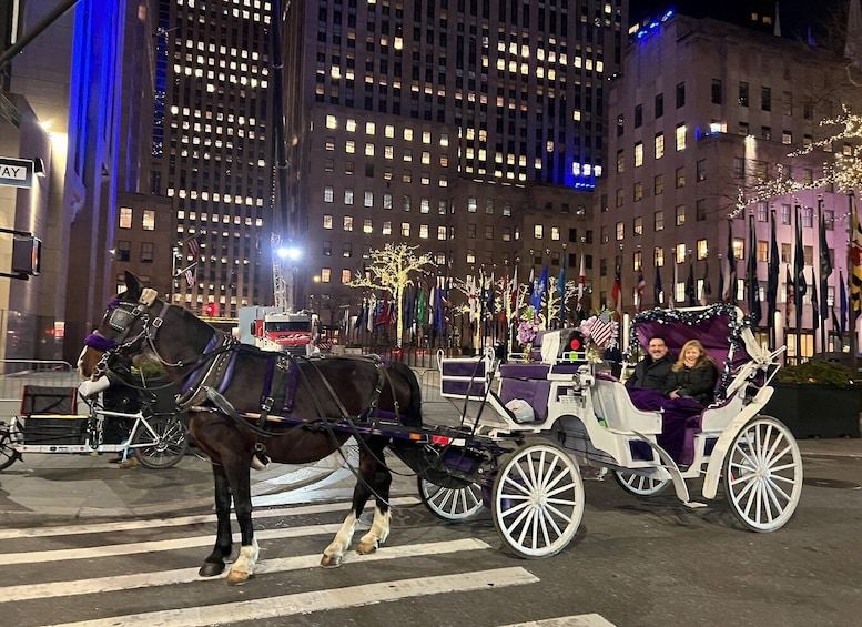 Picture 8 for Activity NYC: Private Central Park Horse Carriage Ride with Guide