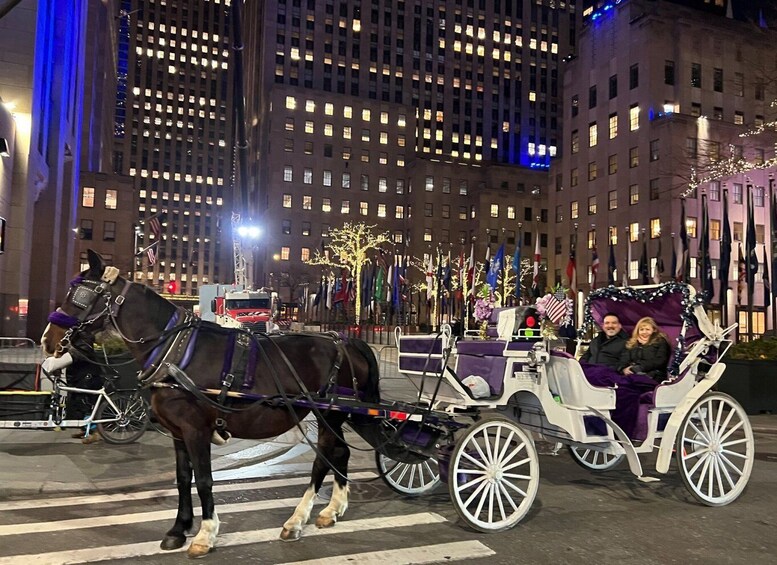 Picture 5 for Activity NYC: Private Central Park Horse Carriage Ride with Guide