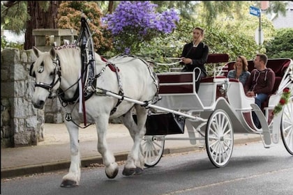 NYC: Private Central Park Horse Carriage Ride with Guide