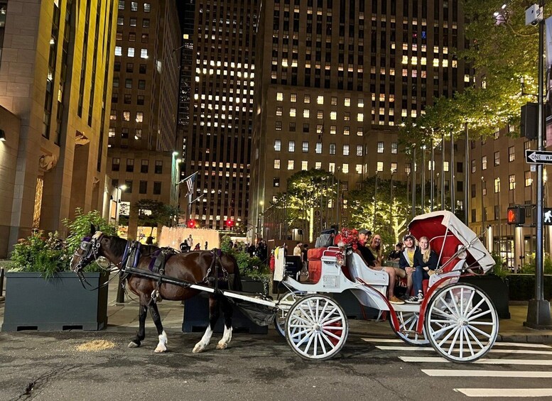 Picture 6 for Activity NYC: Private Central Park Horse Carriage Ride with Guide