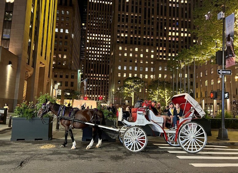 Picture 9 for Activity NYC: Private Central Park Horse Carriage Ride with Guide