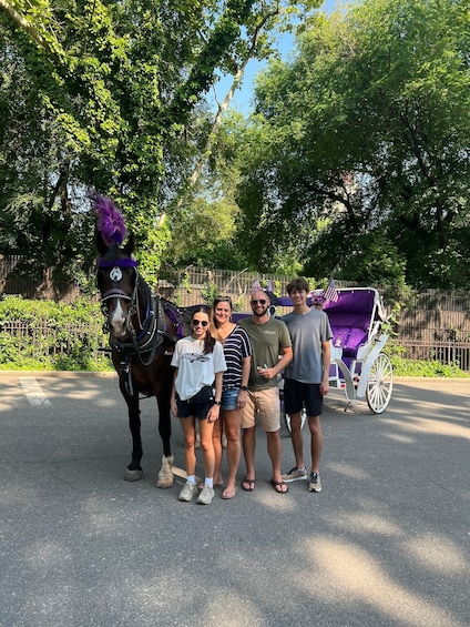 Picture 2 for Activity NYC: Private Central Park Horse Carriage Ride with Guide