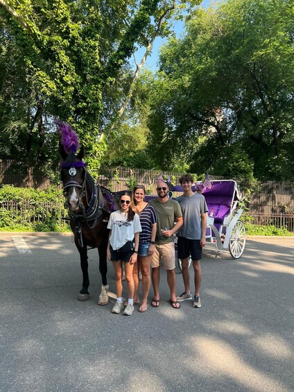 Picture 2 for Activity NYC: Private Central Park Horse Carriage Ride with Guide