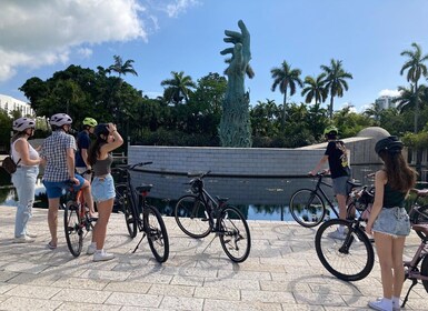 Privat sykkeltur på Miami Beach