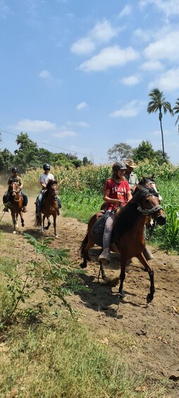 Picture 7 for Activity Peru,: 4 hours horseback riding and Ancient Pyramids