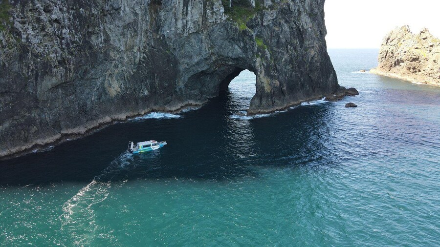 Paihia/Russell: Hole in the Rock & Bay of Islands Cruise