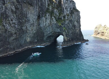 De Paihia : Hole in the Rock Cruise et Island Tour : 3 Heure