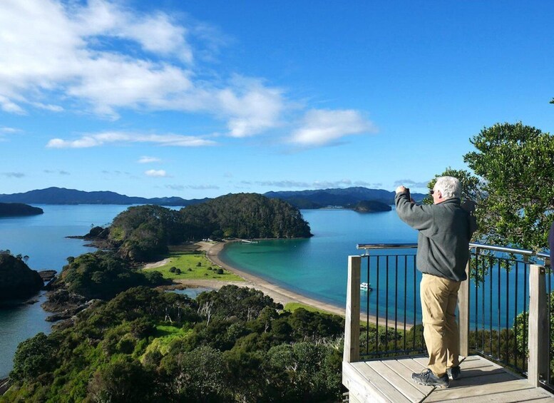 Picture 9 for Activity Paihia/Russell: Hole in the Rock & Bay of Islands Cruise