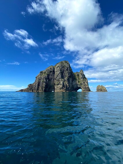 Picture 1 for Activity Paihia/Russell: Hole in the Rock & Bay of Islands Cruise