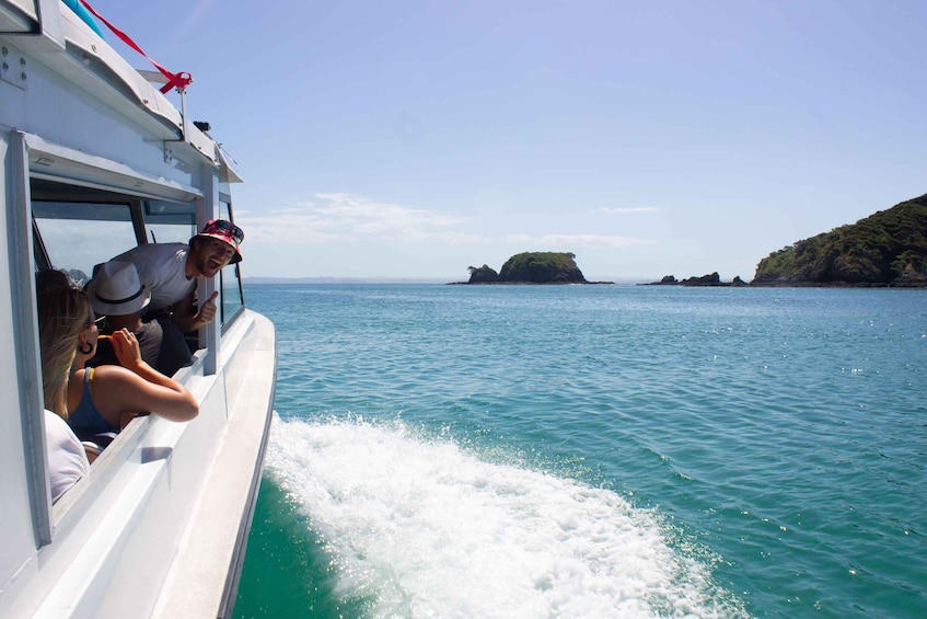 Picture 6 for Activity Paihia/Russell: Hole in the Rock & Bay of Islands Cruise