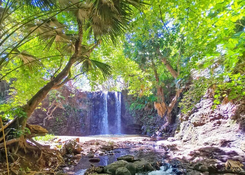 Picture 3 for Activity Mauritius: Gris Gris Beach & Mamzelle Waterfall Guided Tour