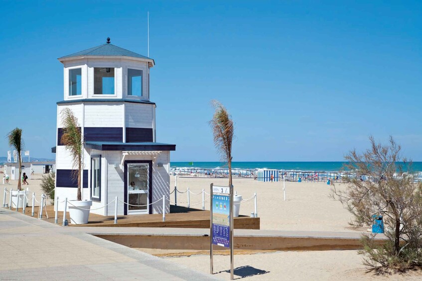 Picture 12 for Activity Gandía: History, Beach & Albufera Natural Park Private Tour