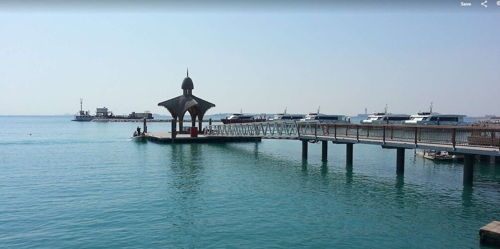 Picture 1 for Activity Gandía: History, Beach & Albufera Natural Park Private Tour