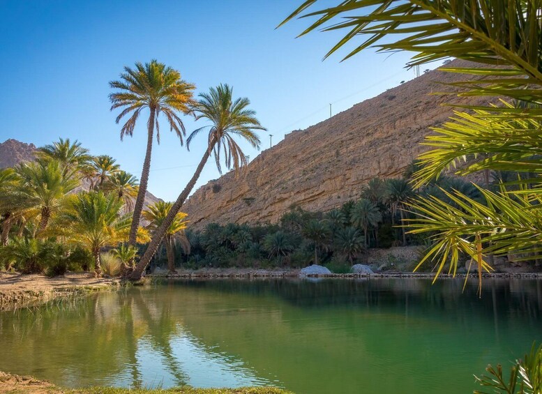 Picture 6 for Activity From Muscat:Wahiba Sands & WadiBani Khalid Desert Experience