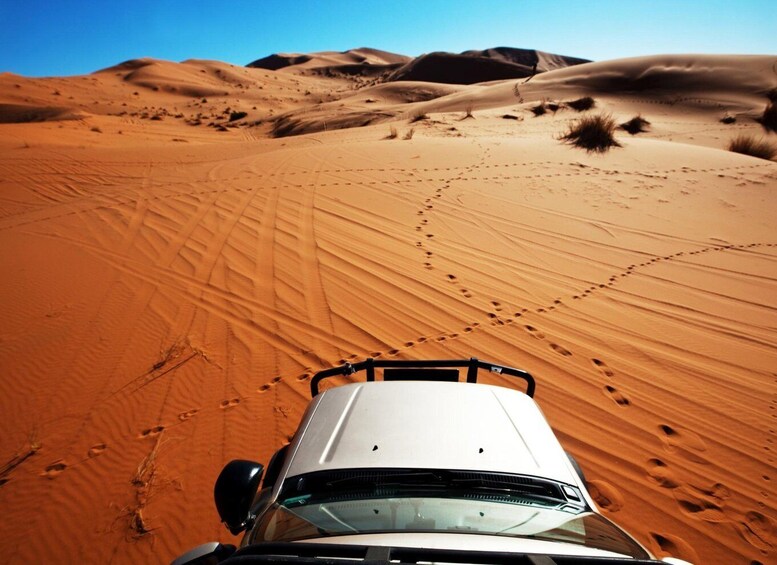 From Muscat:Wahiba Sands & WadiBani Khalid Desert Experience