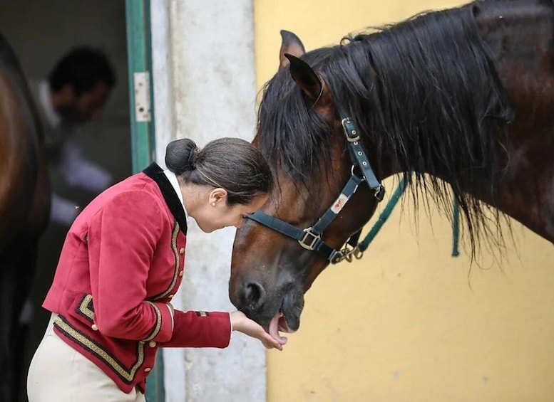 Picture 4 for Activity Lisbon: Morning of Equestrian Art with Lusitano Horses