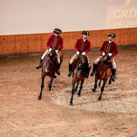 Lisbon: Morning of Equestrian Art with Lusitano Horses