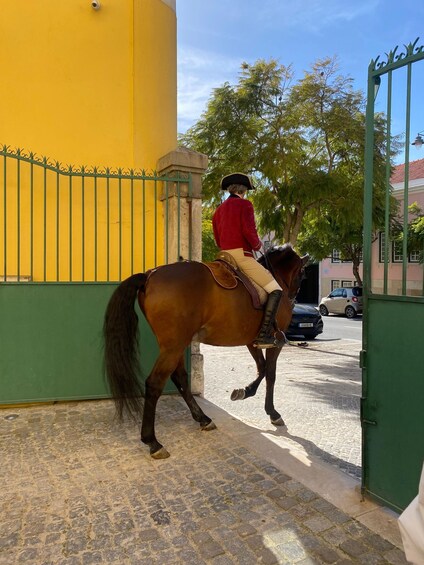 Picture 6 for Activity Lisbon: Morning of Equestrian Art with Lusitano Horses