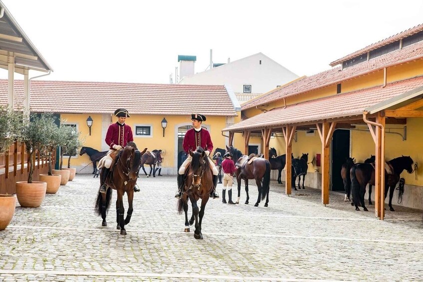 Picture 3 for Activity Lisbon: Morning of Equestrian Art with Lusitano Horses