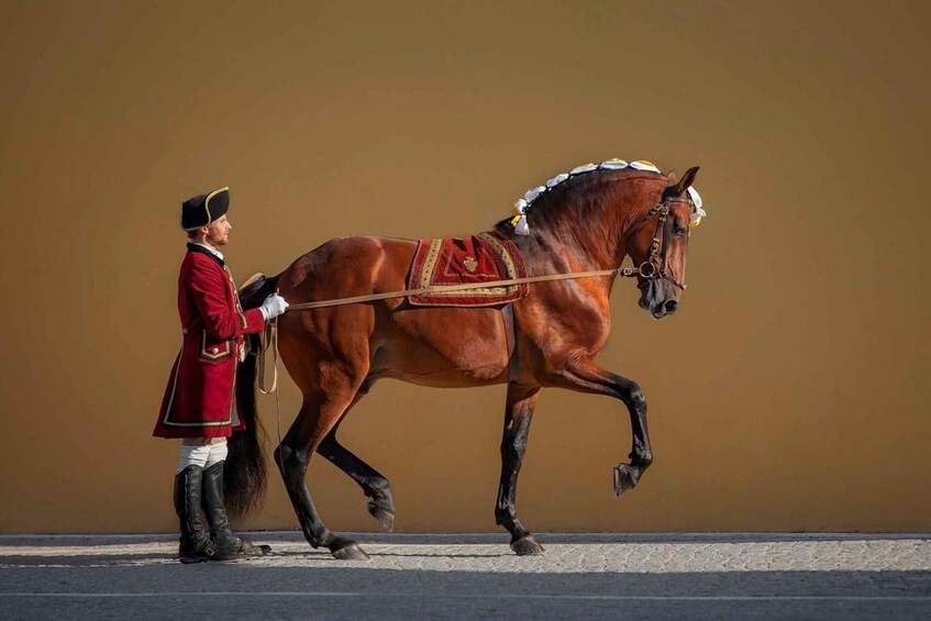 Picture 8 for Activity Lisbon: Morning of Equestrian Art with Lusitano Horses