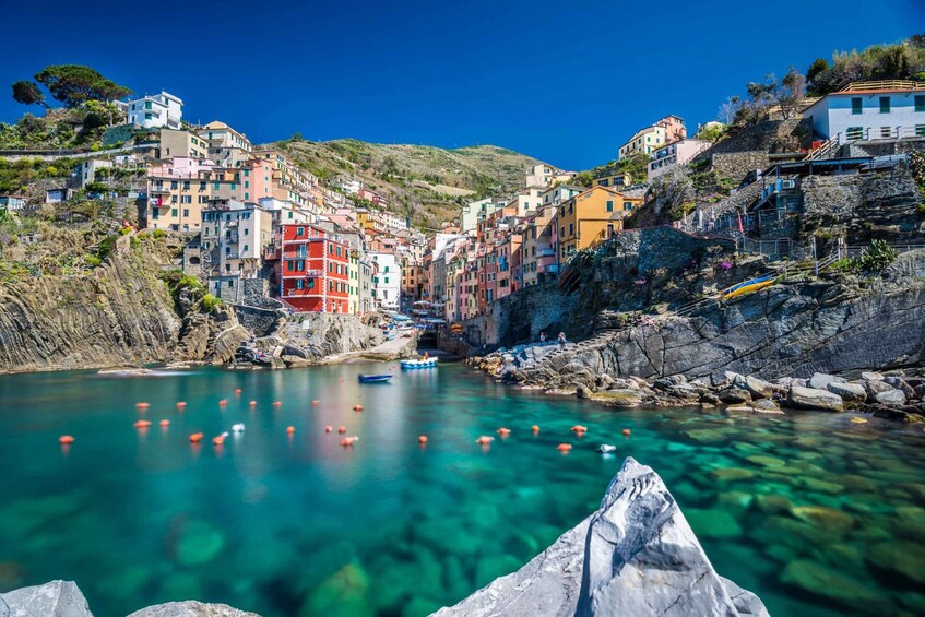 Picture 3 for Activity Full day Tour to Cinque Terre from La Spezia