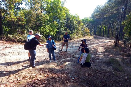 Von Kathmandu aus: 3-tägiger Nagarkot Trek mit Bhaktapur Tour