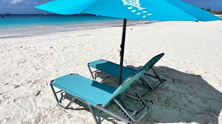 Beach Day At Savvy On The Bay With Shuttle Transfers