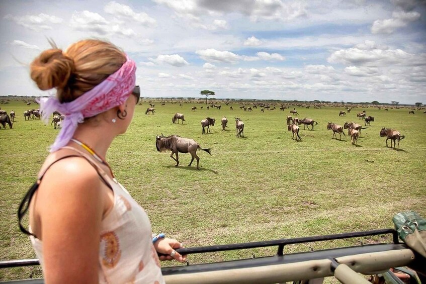 Picture 6 for Activity 2 Days 1 Night Tarangire & Ngorongoro Crater